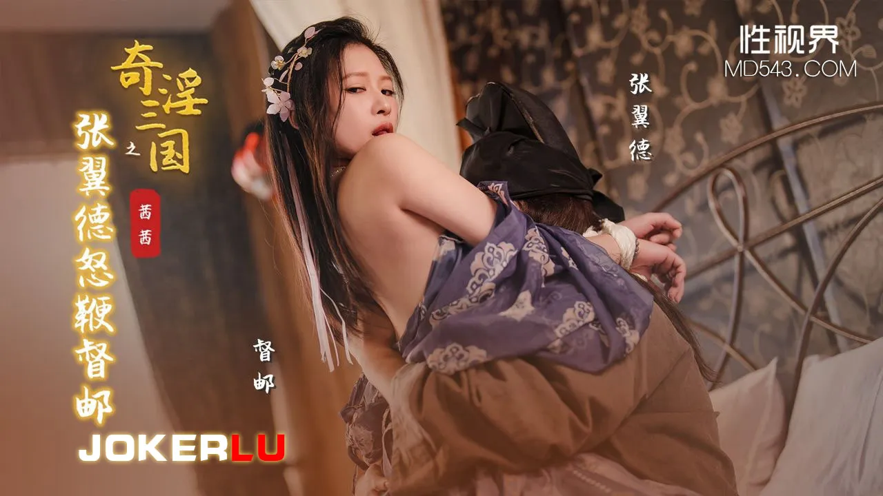 XSJ144 奇淫三國之張翼德怒鞭督郵