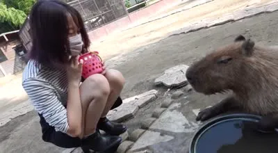 FC2-PPV-4265371 女大学生带入森林深处户外猥亵口中射精