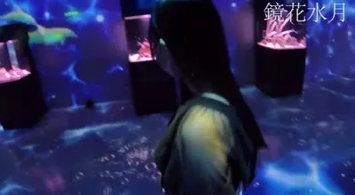 FC2-PPV-4566520 传奇美女S酱私服初水族馆