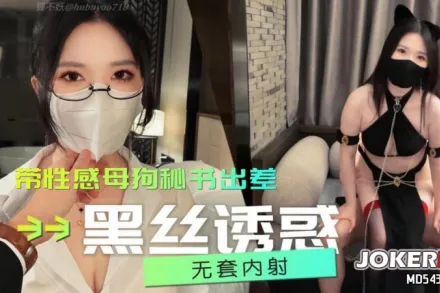 秘書茶 帶性感母狗秘書出差 黑絲誘惑 狐不妖