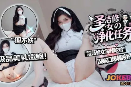 圣洁修女的净化任务 狐不妖
