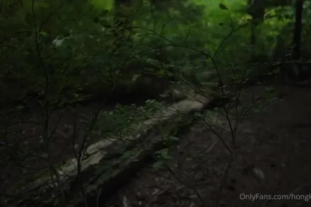 HongKongDoll - 森林系列第一集 - 舊識相遇