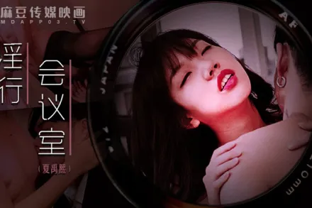 MDWP-0023 淫行會議室