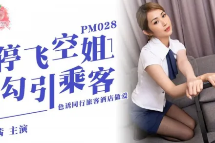 PM-028 停飛空姐勾引乘客 色誘同行旅客酒店做愛 唐茜