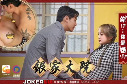 銀家大院之你是誰啊