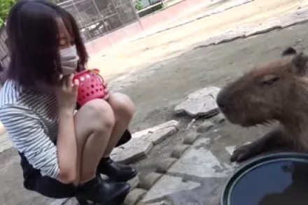 FC2-PPV-4265371 女大学生带入森林深处户外猥亵口中射精