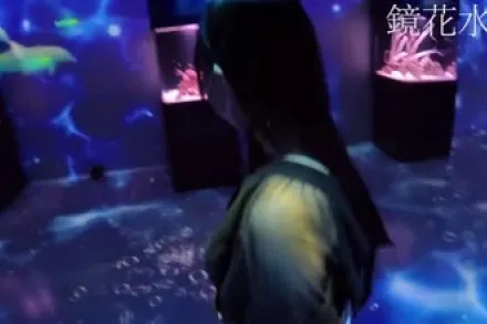 FC2-PPV-4566520 传奇美女S酱私服初水族馆