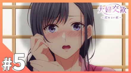 夫婦交歡～回不去的夜晚 5