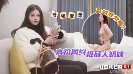 高價網約極品大奶妹