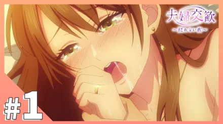 夫婦交歡～回不去的夜晚 1