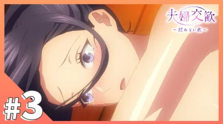 夫婦交歡～回不去的夜晚 3