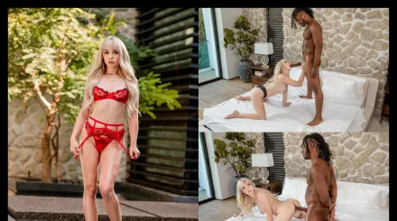 埋頭苦幹 李利·貝爾