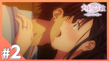 夫婦交歡～回不去的夜晚 2