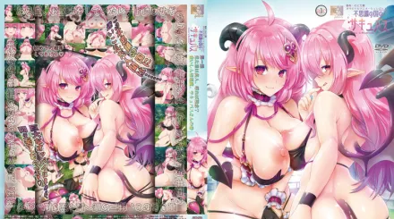 不可思議的國家的魅魔 1