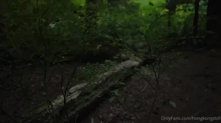 HongKongDoll - 森林系列第一集 - 舊識相遇