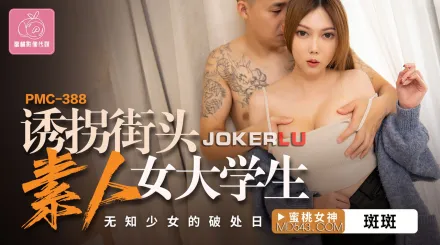 PMC-388 誘拐街頭素人女大學生 無知少女的破處日