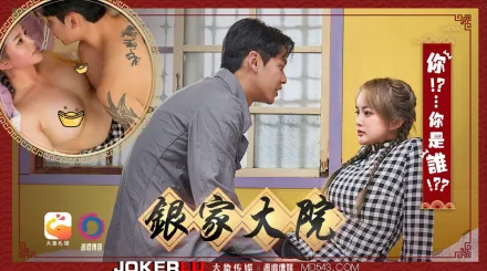 銀家大院之你是誰啊