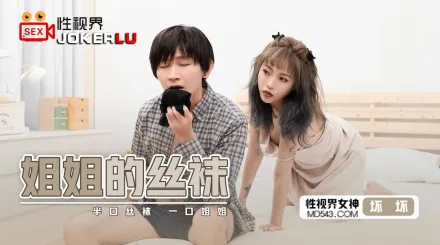 XSJ040 姐姐的絲襪