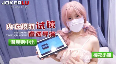 內衣模特試鏡遭遇導演潛規則