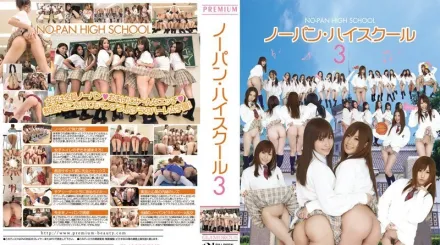 【无码/去除马赛克】PGD-446 没有穿内衣・高中 3