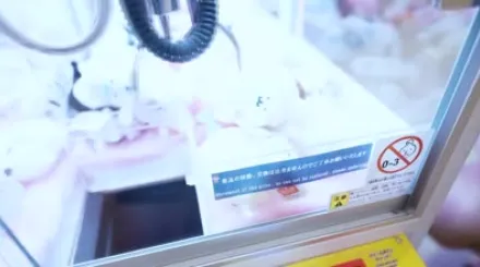 FC2-PPV-3104997 猥琐又性感的漂亮家教