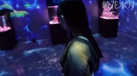 FC2-PPV-4566520 传奇美女S酱私服初水族馆