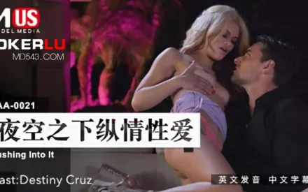 LAA-0021 夜空之下縱情性愛