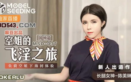 MSD-037 空姐的飛淫之旅 負債空姐下海初體驗 困頓篇 陳美琳
